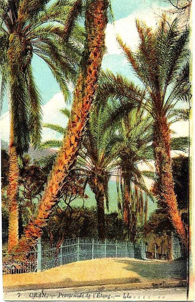 PL a- 033- Promenade de Letang A.JPG